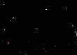spcship1.gif (7630 octets)
